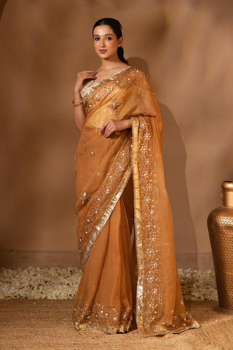 Pichwai Chikankari Organza Saree Set